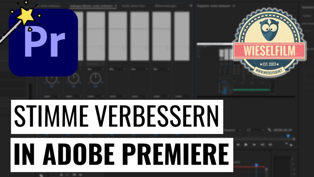 Stimme verbessern in Adobe Premiere