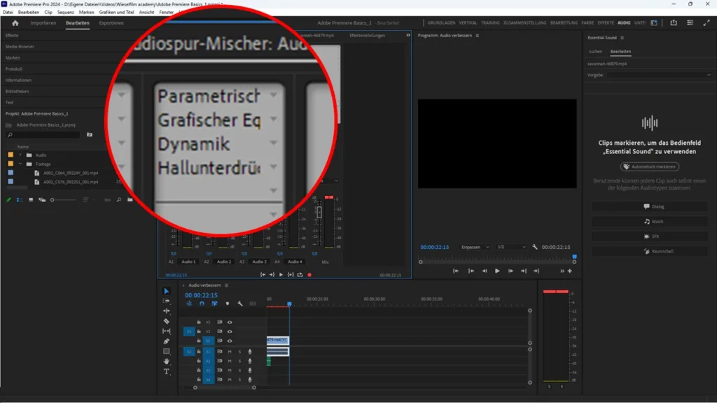 Die Effekte für deine Audiospur in Adobe Premiere