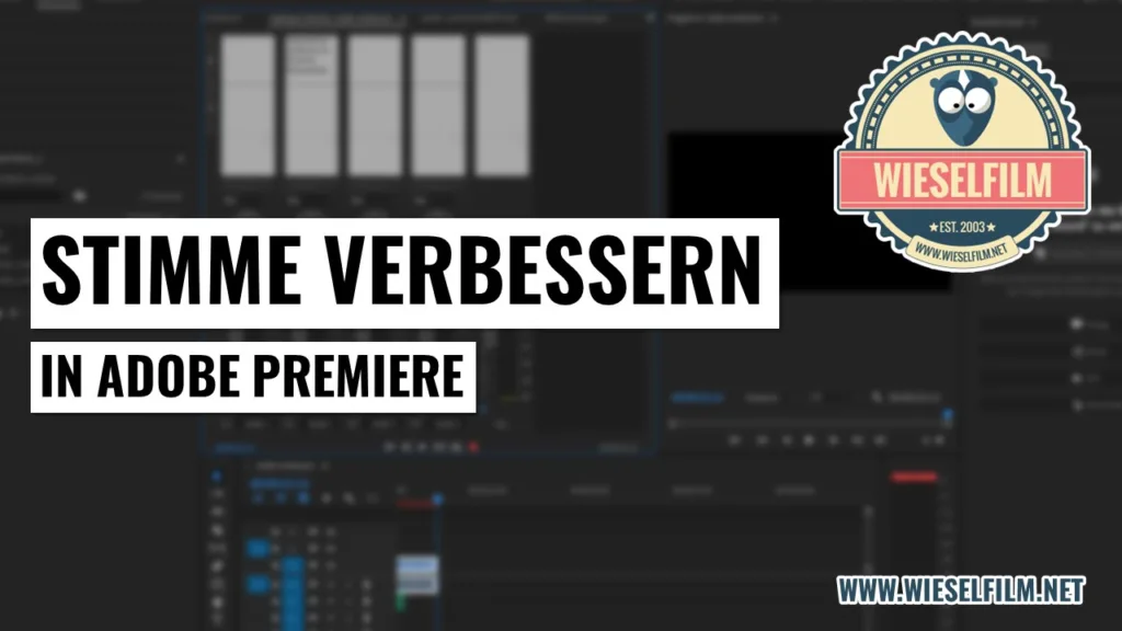 Stimme verbessern in Adobe Premiere