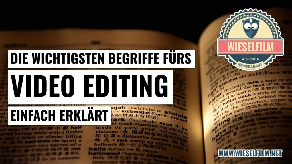 Die wichtigsten Begriffe fürs Video Editing einfach erklärt