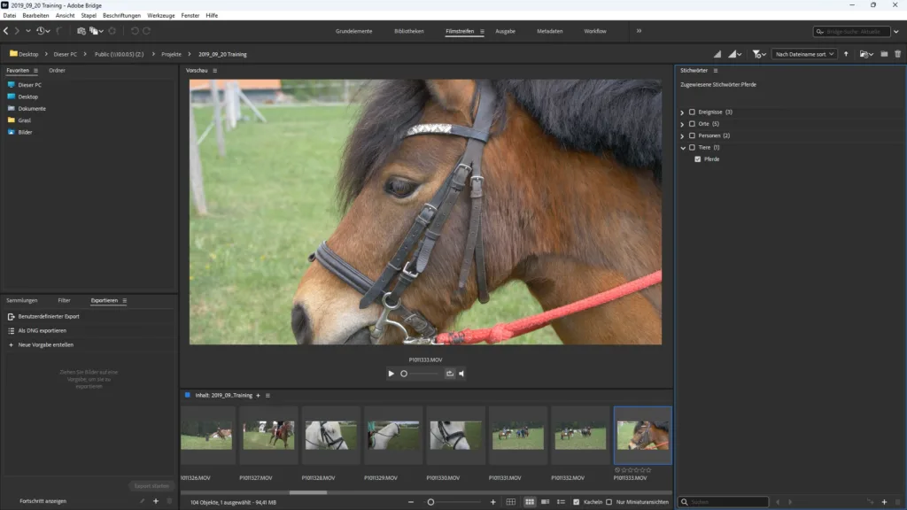 Filmstreifen Ansicht in Adobe Bridge