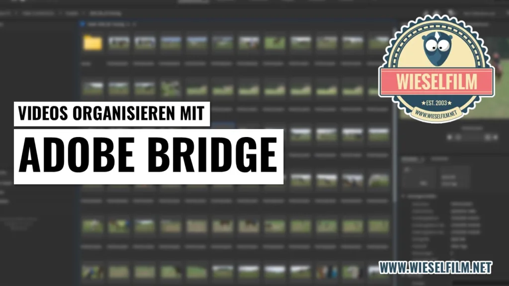 Videos organisieren mit Adobe Bridge